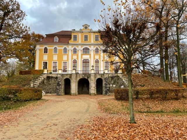 Pension Grandel Kottmar Екстер'єр фото